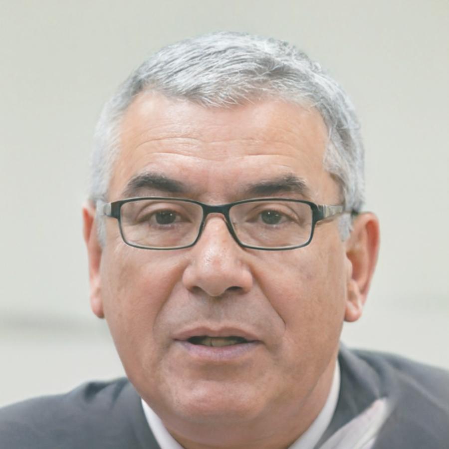 Ritratto professionale di Rocco Bellini